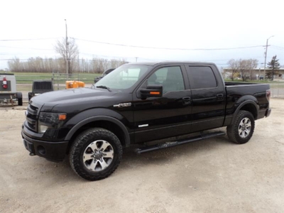 Used Ford F-150 2014 for sale in Winnipeg, Manitoba