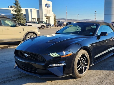 Used 2018 Ford Mustang EcoBoost Premium for Sale in Woodstock, New Brunswick