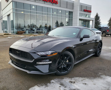 2020 Ford Mustang ECOBOOST Dual Climate Control