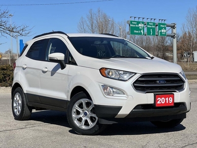 Used 2019 Ford EcoSport HEATED SEATS SUNROOF APPLE CARPLAY for Sale in Kitchener, Ontario