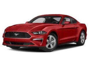 Used 2019 Ford Mustang EcoBoost for Sale in Embrun, Ontario
