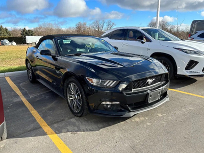 2015 Mustang GT Premium