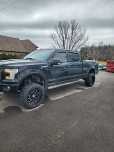 F150 5.0 lifted