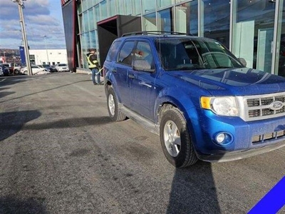 Used 2011 Ford Escape XLT for Sale in Halifax, Nova Scotia