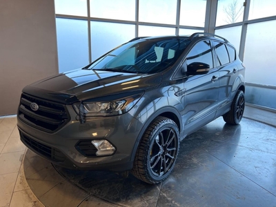 Used 2019 Ford Escape for Sale in Edmonton, Alberta
