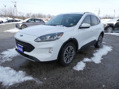 Used 2020 Ford Escape SEL for Sale in Essex, Ontario