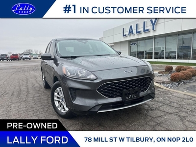 Used 2020 Ford Escape SE, AWD, Nav, One Owner!! for Sale in Tilbury, Ontario