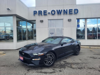 Used 2021 Ford Mustang EcoBoost for Sale in Niagara Falls, Ontario