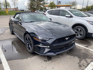 Used 2018 Ford Mustang EcoBoost Premium for Sale in Sherwood Park, Alberta