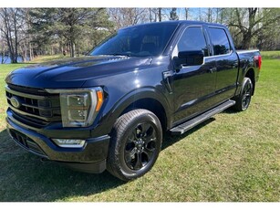 Used Ford F-150 2023 for sale in Saint-Esprit, Quebec
