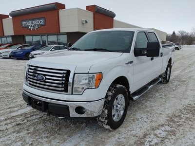 Used 2011 Ford F-150 XLT for Sale in Steinbach, Manitoba