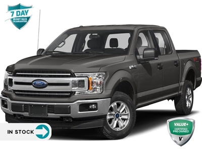Used 2019 Ford F-150 XLT 302A SPORT NAVIGATION FX4 for Sale in Kitchener, Ontario