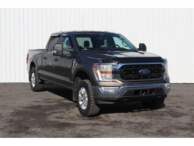 Used Ford F-150 2021 for sale in Saint John, New Brunswick