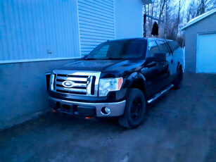 Pick-up Ford F150 4 X 4 noir