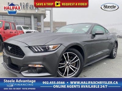 2015 Ford Mustang EcoBoost - LEATHER - NAVI - 6 SPD