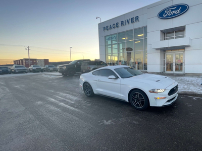 Ford Mustang EcoBoost Fastback