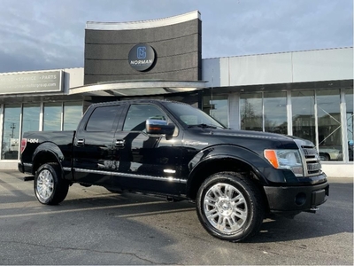 Used 2011 Ford F-150 Platinum 4WD 3.5L ECOBOOST SUNROOF CAMERA for Sale in Langley, British Columbia