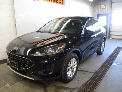Used 2020 Ford Escape SE for Sale in Peterborough, Ontario