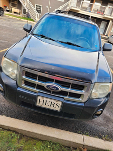 2010 Ford Escape