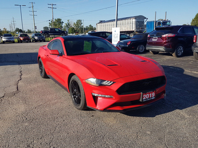 2019 Ford Mustang EcoBoost ONE OWNER