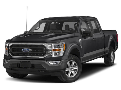 2023 Ford F-150 XLT | 302A | 4x4 | SuperCrew 145