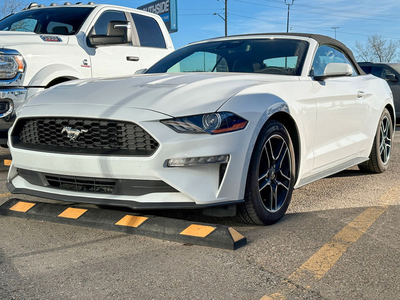 2023 FORD MUSTANG ECOBOOST