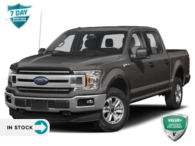 Used 2019 Ford F-150 XLT 2.7L ECOBOOST TRAILER TOW PKG XTR for Sale in Sault Ste. Marie, Ontario