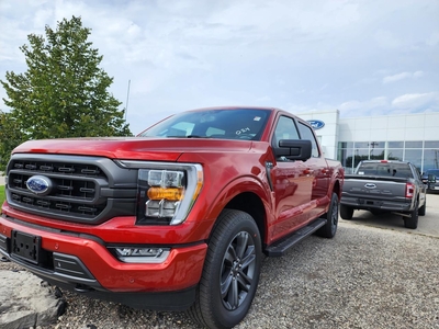 2023 Ford F-150 XLT | 145 | 302A