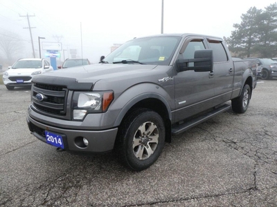 Used 2014 Ford F-150 FX4 for Sale in Essex, Ontario