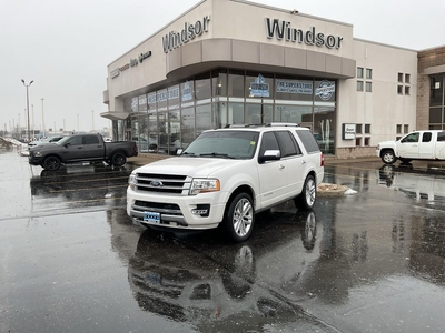 Used 2017 Ford Expedition Platinum for Sale in Windsor, Ontario