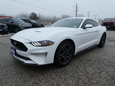 Used 2020 Ford Mustang EcoBoost Premium for Sale in Essex, Ontario