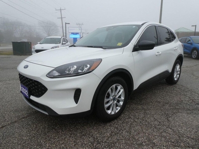 Used 2022 Ford Escape SE for Sale in Essex, Ontario