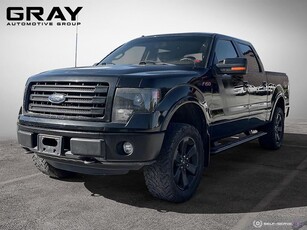 Used 2014 Ford F-150 FX4/5.0L V8/CERTIFIED/SUNROOF for Sale in Burlington, Ontario