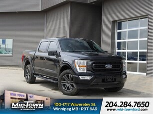 Used 2022 Ford F-150 for Sale in Winnipeg, Manitoba