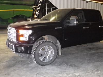 Ford Platinum F-150 For Sale