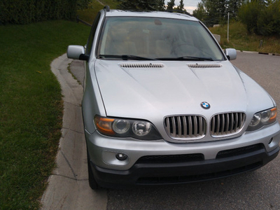 2006 BMW X5 Basic