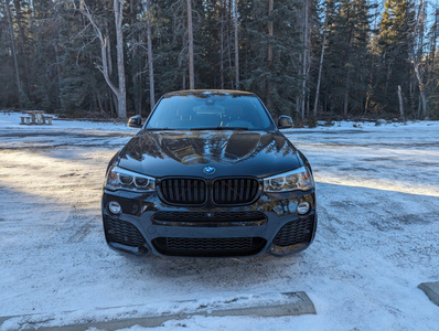 2017 BMW X4 xDrive28 | No accidents | no scratches + ceramic coating | fully loaded M pkg