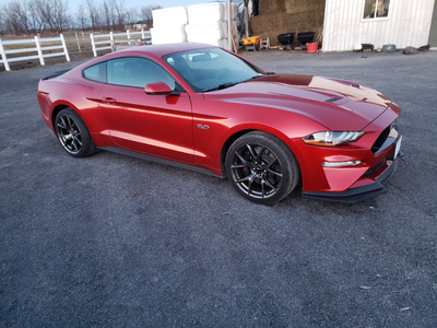 Mustang GT Premium PP2