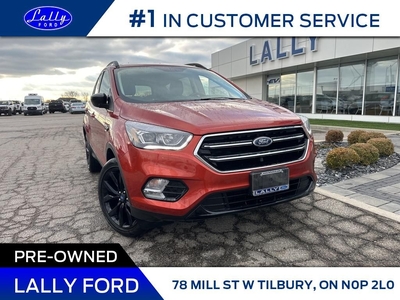 Used 2019 Ford Escape SE, AWD, Nav, Local Trade! for Sale in Tilbury, Ontario