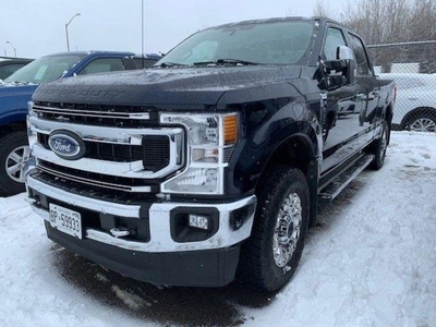 Used 2022 Ford F-250 XLT 4WD Crew Cab 6.75' Box for Sale in Thunder Bay, Ontario