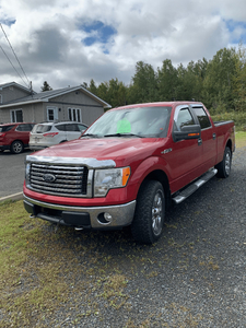 2010 Ford F-150 XLT 4WD for Sale