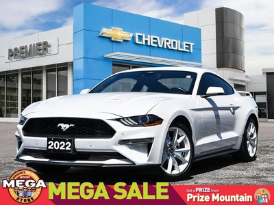 2022 Ford Mustang EcoBoost Premium | Leather | Ice White Package