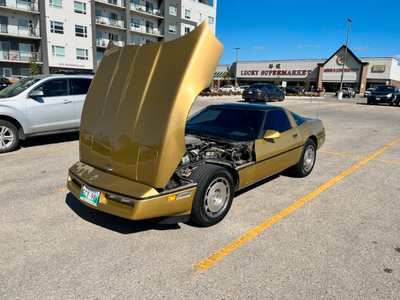 1984 C4 saftied corvette