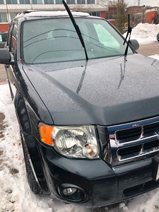 Used - 2008 Ford Escape XLT