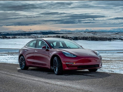 2020 Tesla Model 3 Long Range, FSD and Lifetime Connectivity