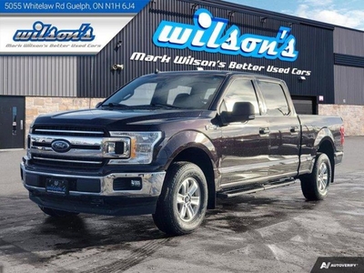 Used 2019 Ford F-150 XLT SuperCrew, 4X4, 3.5L EcoBoost, Bluetooth, Rear Camera, New Tires & More ! for Sale in Guelph, Ontario