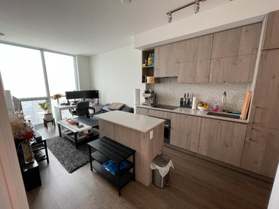 Fully Furnished, Utilities Incl., Luxury 1bd Condo in Yorkville