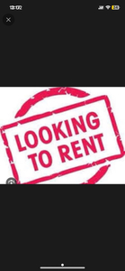 Looking to rent