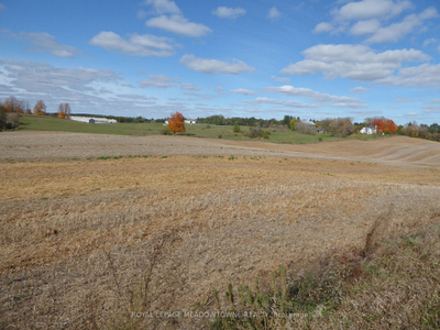 Lot 29 Mount Hope Rd Caledon Ontario - Great Opportunity!