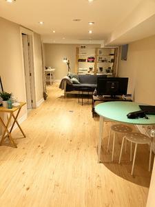 Roncesvalles furnished basement studio for rent